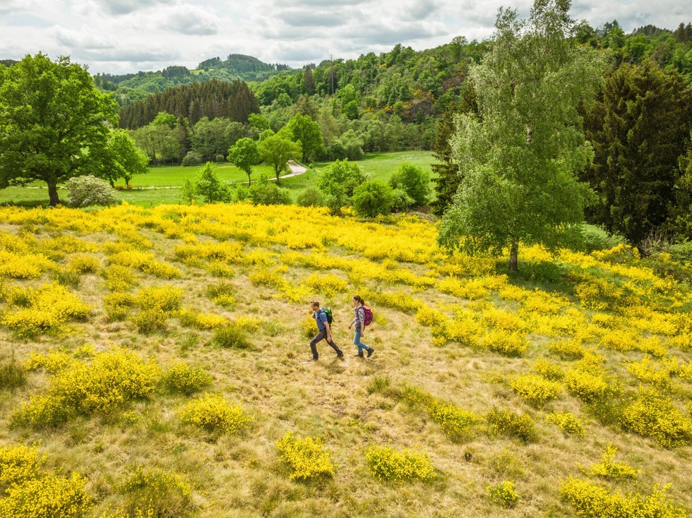 10 jaar grenzeloos wandelplezier in de grensstreek van de Eifel en Luxemburg