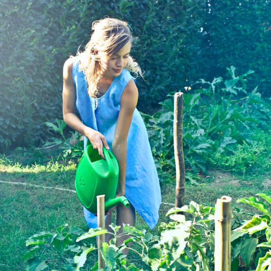 Vijf tips voor een energiezuinige tuin