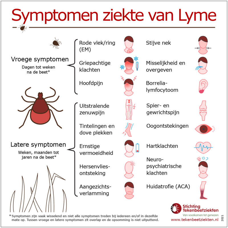 Symptomen waar je op moet letten na een tekenbeet