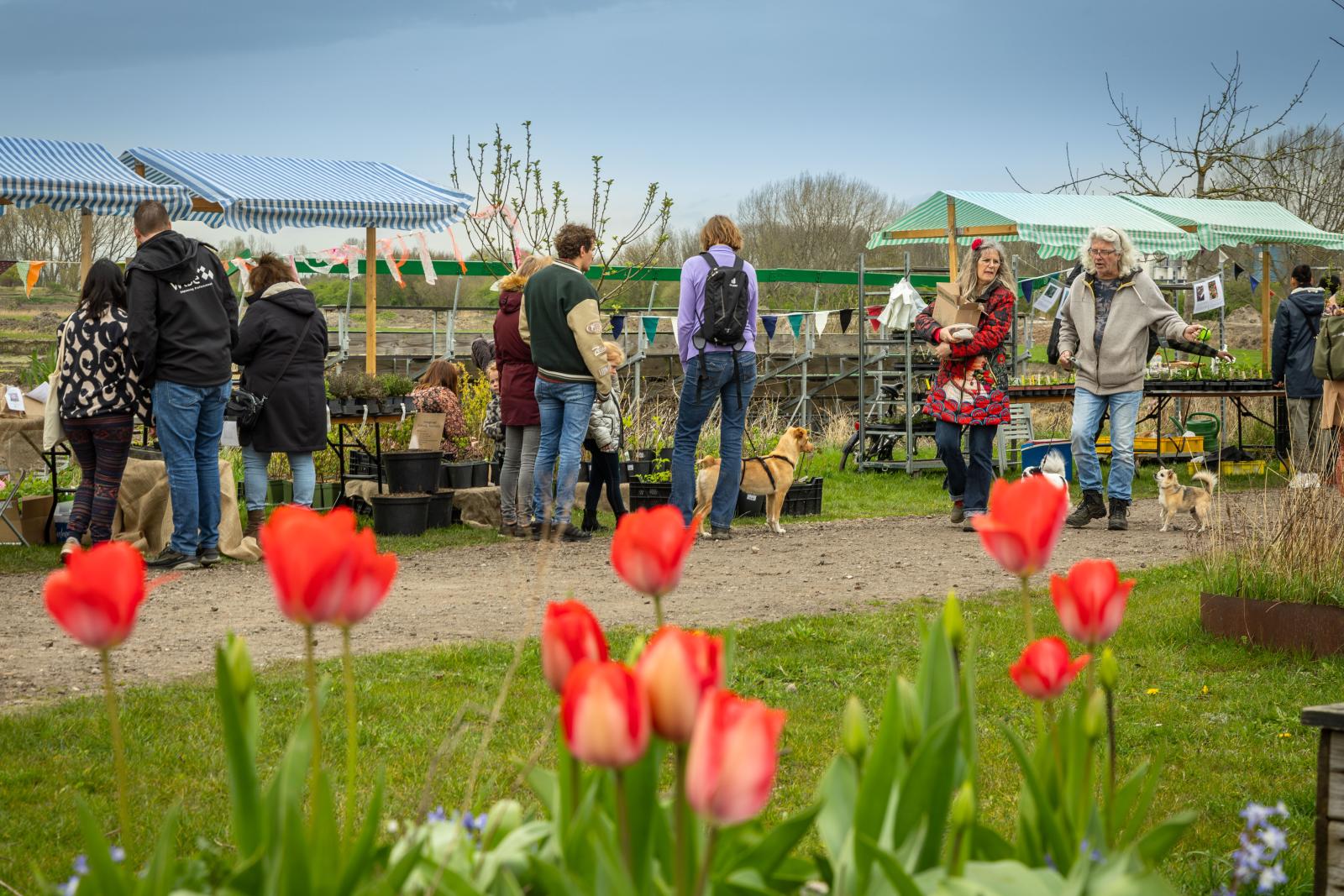 Achtste editie Noordelijke Zadenmarkt op 8 maart 2025 Terra SuikerTerrein Groningen